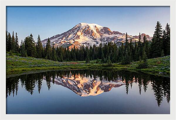 Mount Rainier Reflection At Dawn