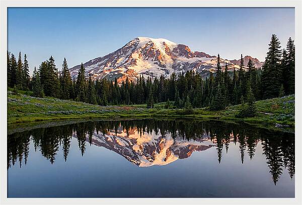 Mount Rainier Reflection At Dawn