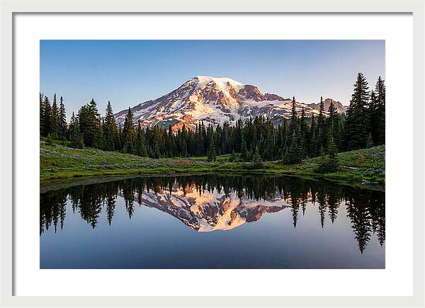 Mount Rainier Reflection At Dawn