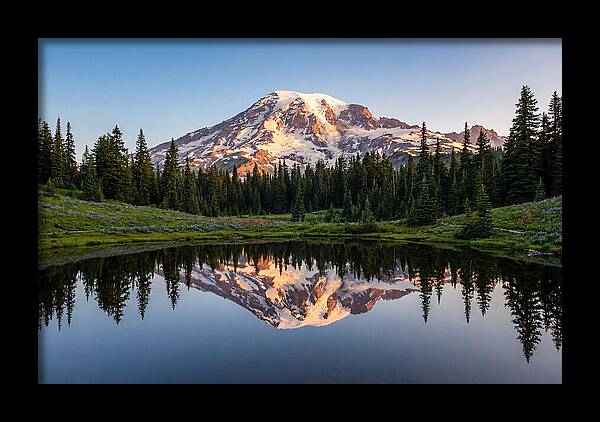 Mount Rainier Reflection At Dawn