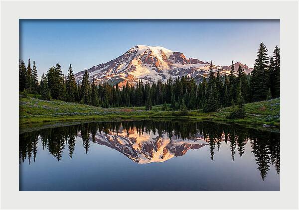 Mount Rainier Reflection At Dawn