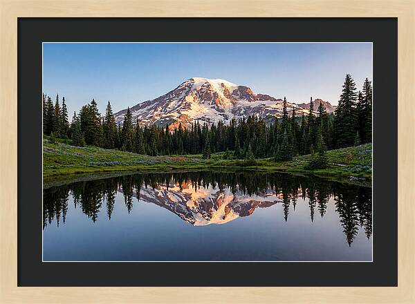 Mount Rainier Reflection At Dawn