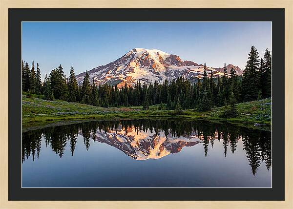 Mount Rainier Reflection At Dawn
