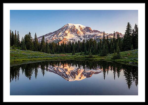 Mount Rainier Reflection At Dawn