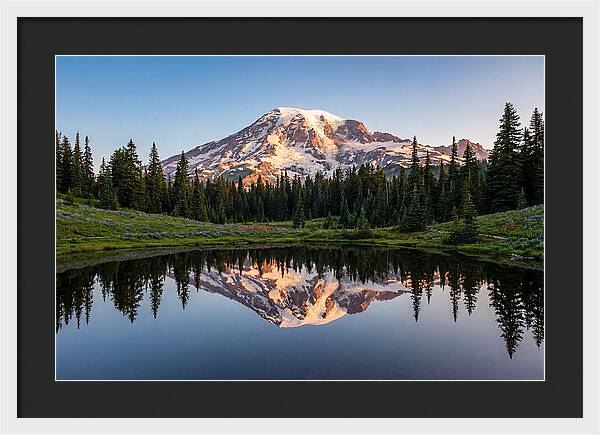 Mount Rainier Reflection At Dawn