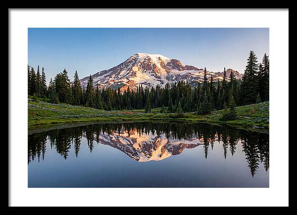 Mount Rainier Reflection At Dawn