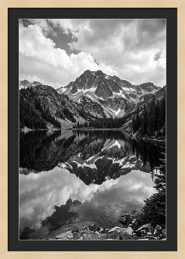Mount Rainier Reflection Study