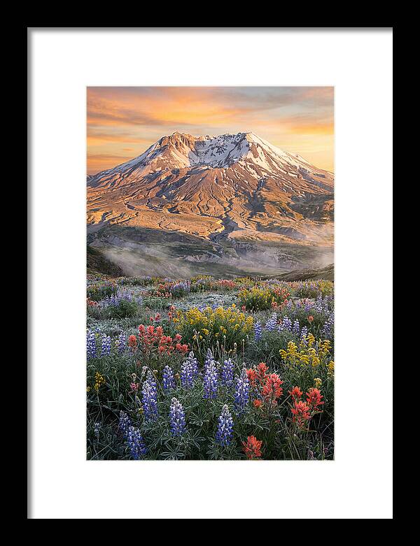 Mount Rainiers Majestic Beauty