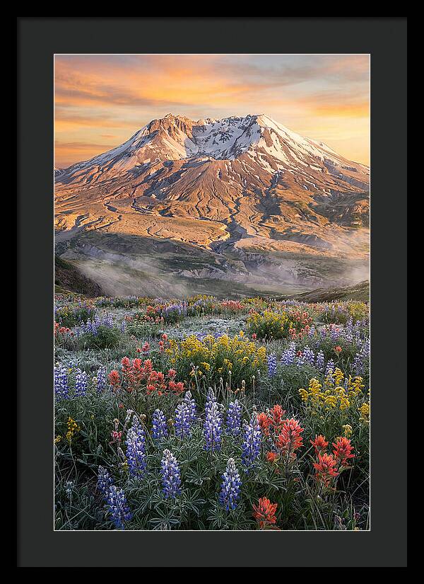 Mount Rainiers Majestic Beauty
