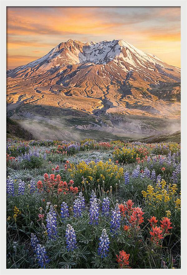 Mount Rainiers Majestic Beauty