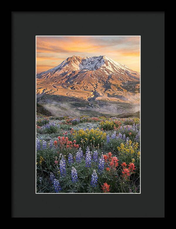 Mount Rainiers Majestic Beauty