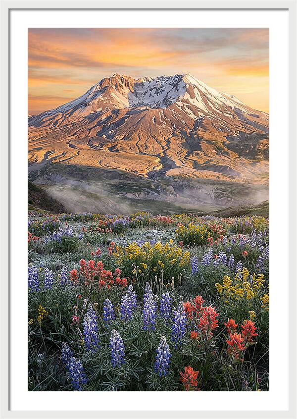 Mount Rainiers Majestic Beauty