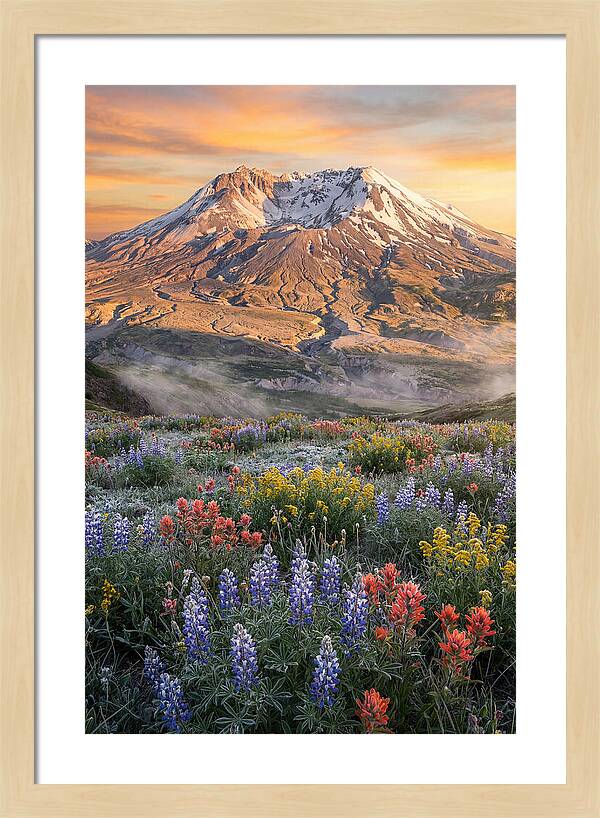 Mount Rainiers Majestic Beauty