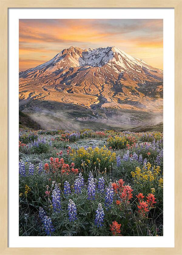 Mount Rainiers Majestic Beauty
