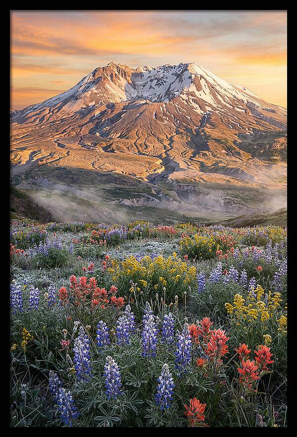 Mount Rainiers Majestic Beauty