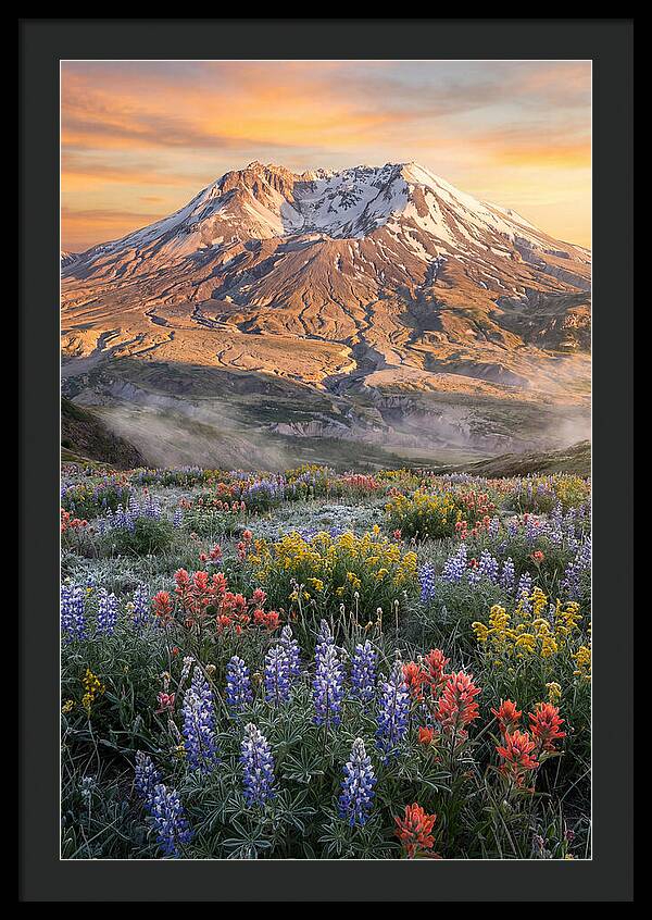 Mount Rainiers Majestic Beauty