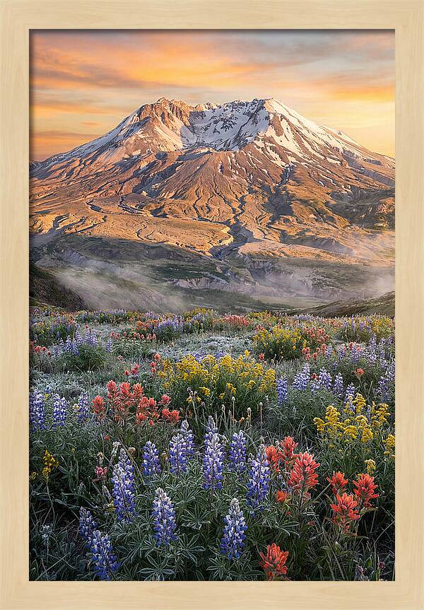 Mount Rainiers Majestic Beauty
