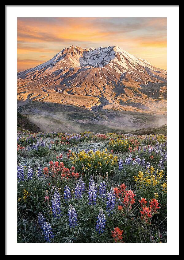 Mount Rainiers Majestic Beauty