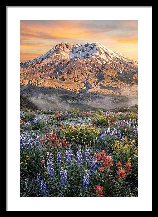 Mount Rainiers Majestic Beauty