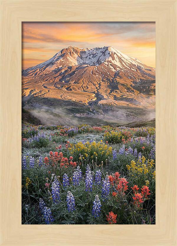 Mount Rainiers Majestic Beauty