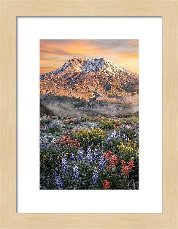 Mount Rainiers Majestic Beauty