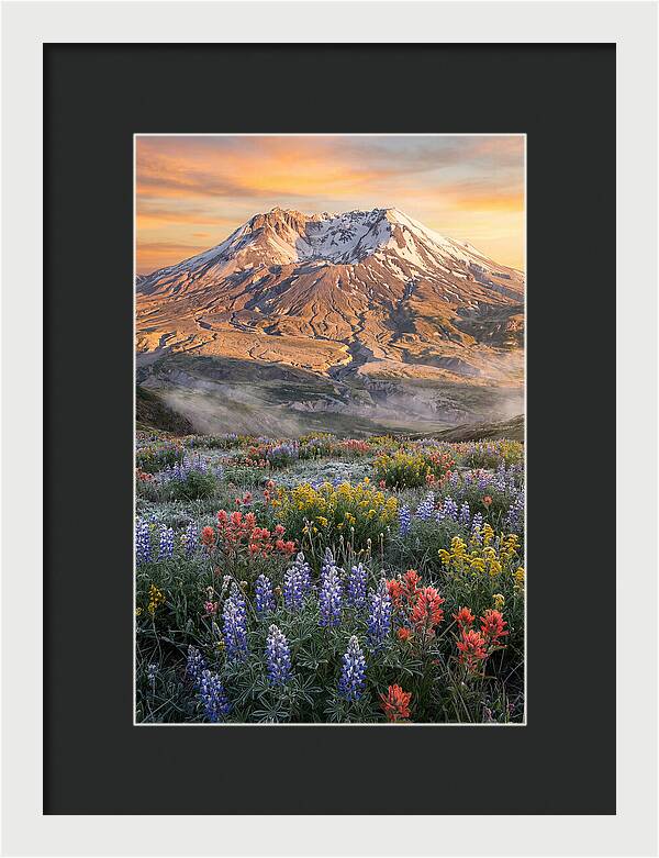 Mount Rainiers Majestic Beauty