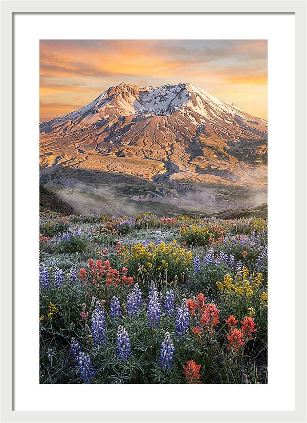 Mount Rainiers Majestic Beauty