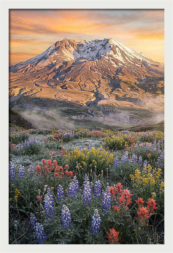 Mount Rainiers Majestic Beauty