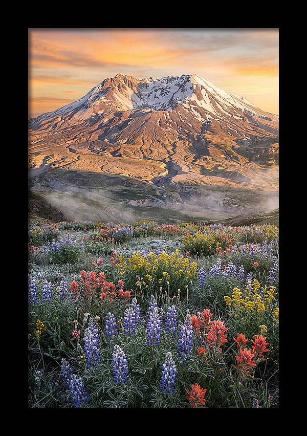 Mount Rainiers Majestic Beauty