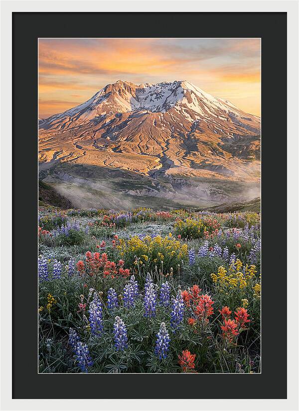 Mount Rainiers Majestic Beauty