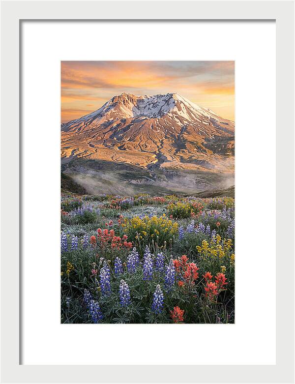 Mount Rainiers Majestic Beauty
