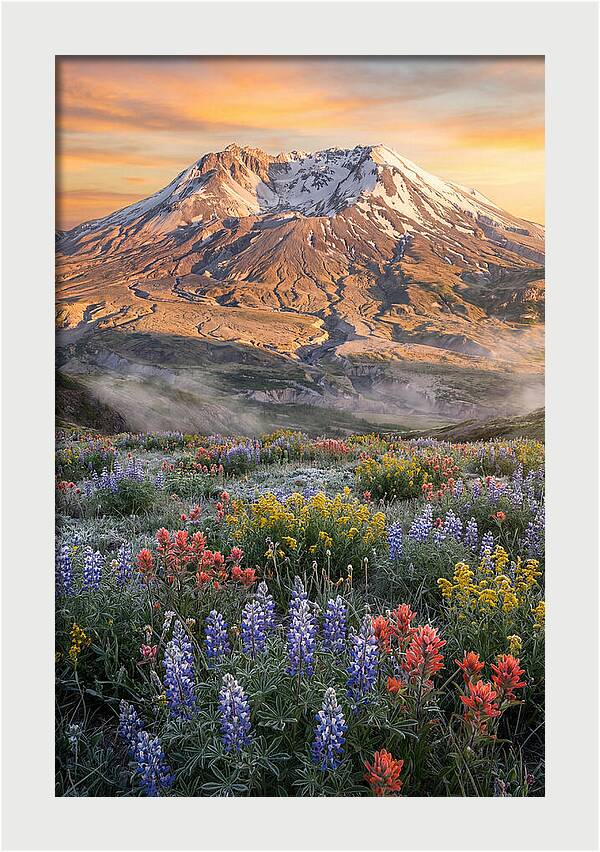 Mount Rainiers Majestic Beauty