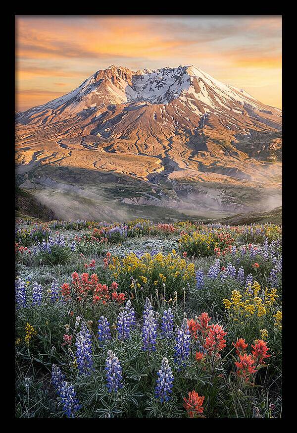 Mount Rainiers Majestic Beauty