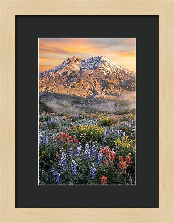 Mount Rainiers Majestic Beauty