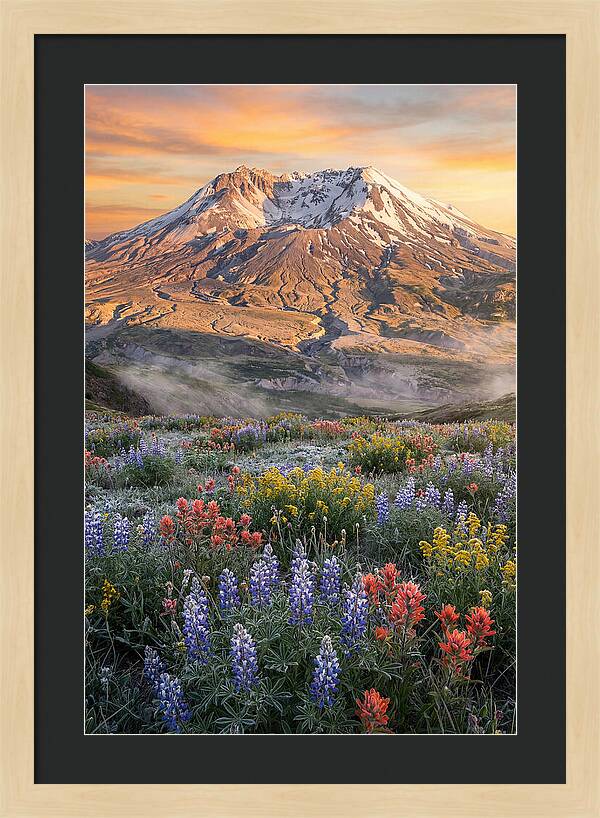 Mount Rainiers Majestic Beauty