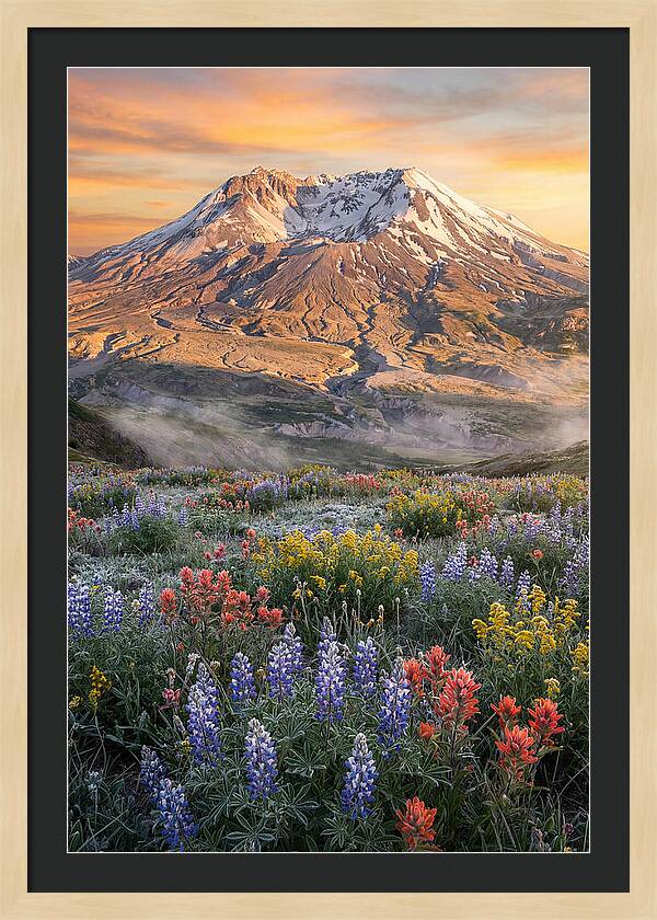 Mount Rainiers Majestic Beauty