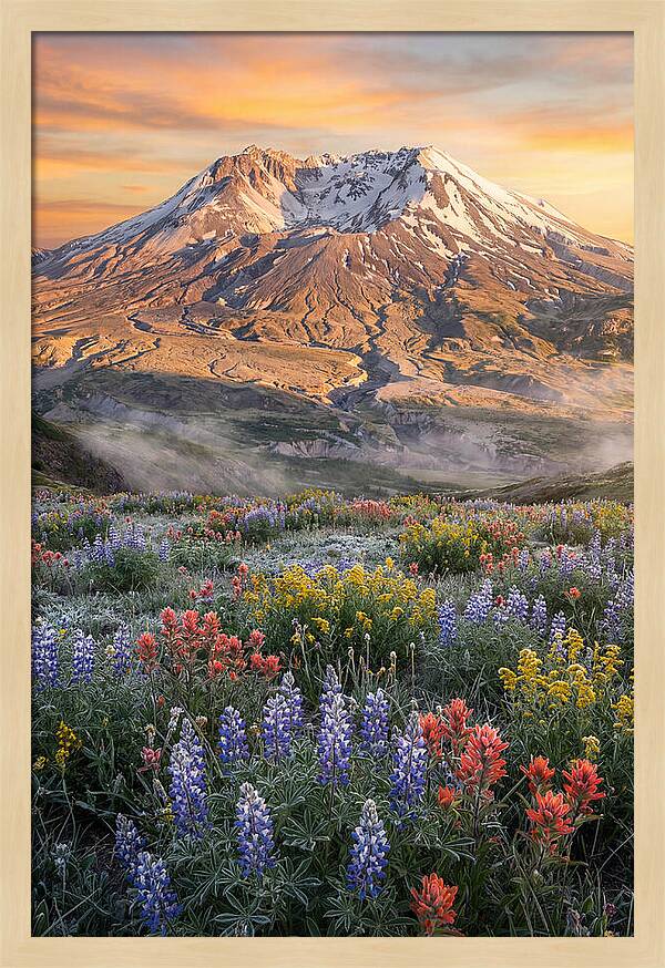 Mount Rainiers Majestic Beauty