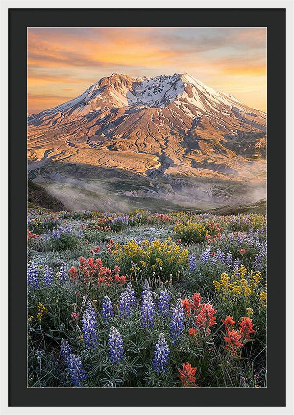 Mount Rainiers Majestic Beauty