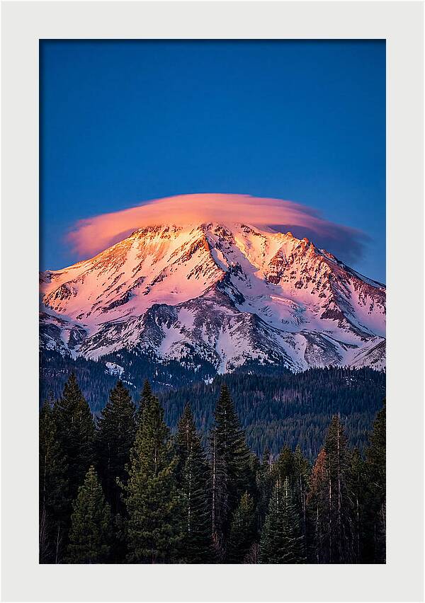 Mount Shasta At Dawn