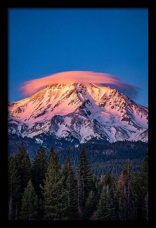 Mount Shasta At Dawn