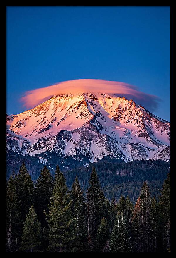 Mount Shasta At Dawn