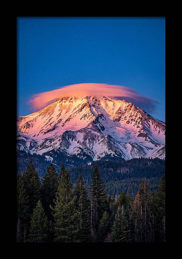 Mount Shasta At Dawn
