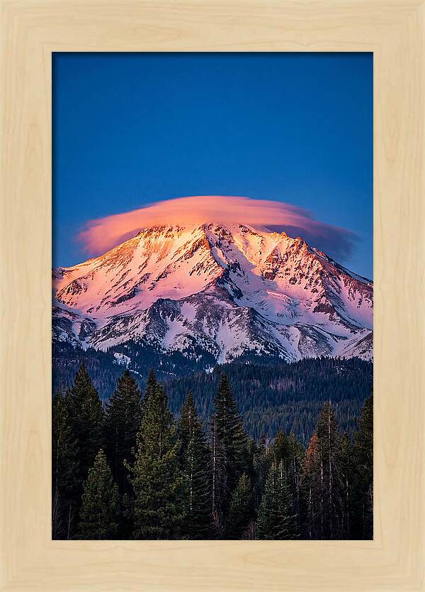Mount Shasta At Dawn