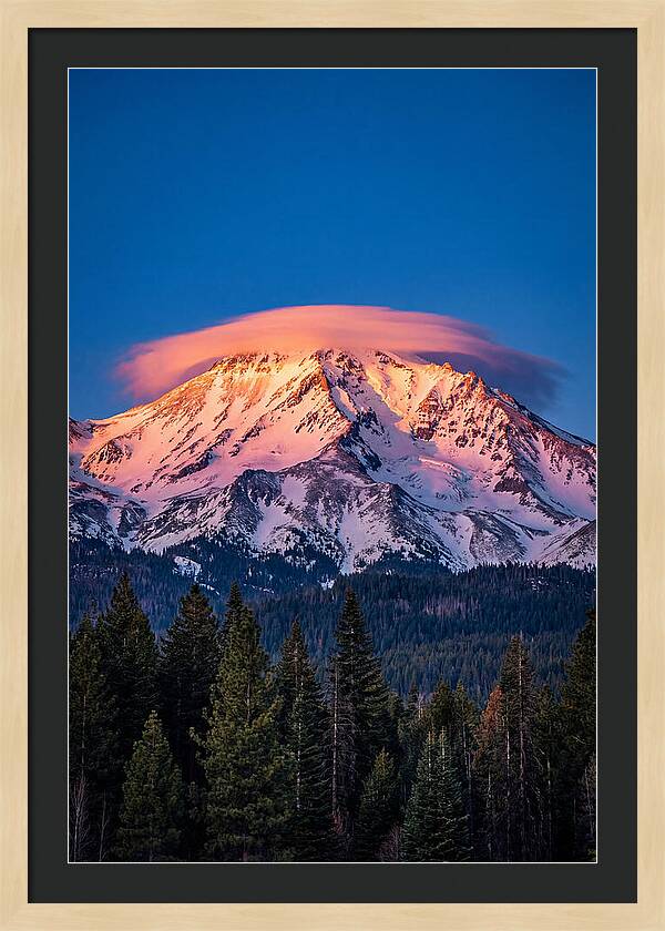 Mount Shasta At Dawn