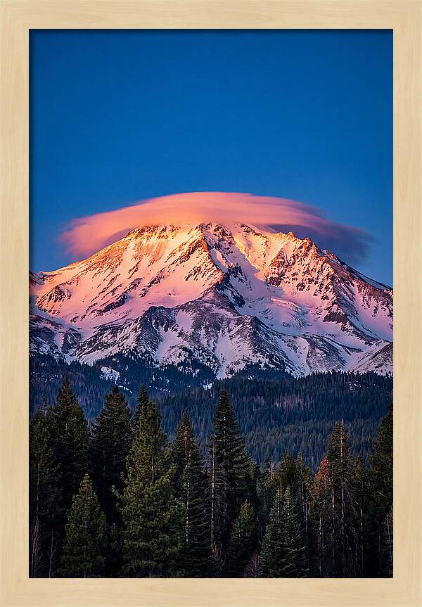 Mount Shasta At Dawn