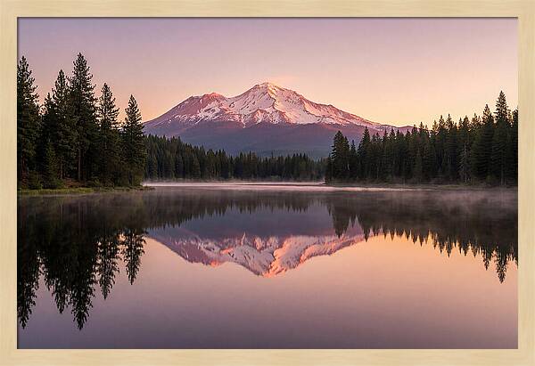 Mount Shasta Reflected In Morning Light