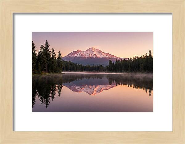 Mount Shasta Reflected In Morning Light