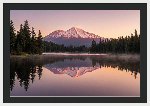 Mount Shasta Reflected In Morning Light