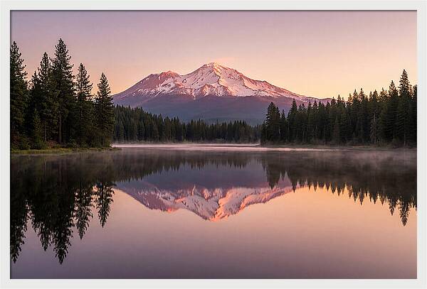 Mount Shasta Reflected In Morning Light