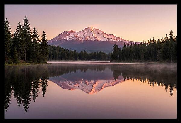 Mount Shasta Reflected In Morning Light